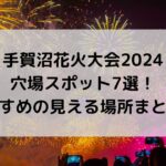 手賀沼花火大会2024の穴場スポット7選！見える場所のおすすめは？