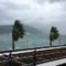 台風