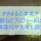 ききまる,プロフィール