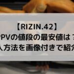 RIZIN.42のPPVの値段は？最安値の購入方法を画像付きで紹介！