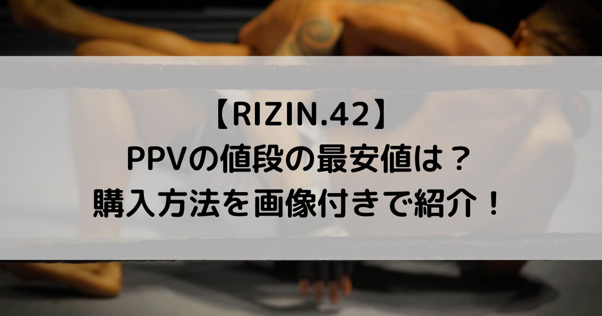 RIZIN.42のPPVの値段は？最安値の購入方法を画像付きで紹介！