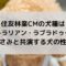住友林業CMの犬種はラブラドゥードル？長澤まさみと共演する犬の性格は？