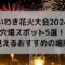 いわき花火大会2024の穴場は？よく見えるおすすめの場所はどこ？