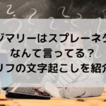 ヤジマリーはスプレーネタでなんて言ってる？セリフの文字起こしを紹介！